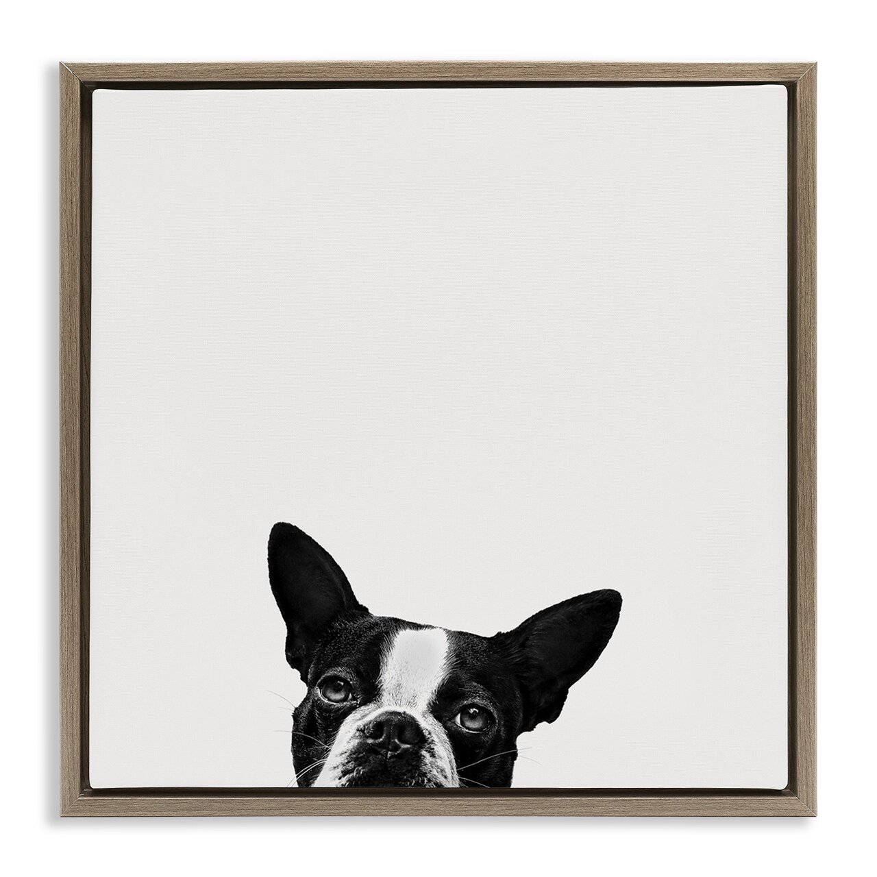 Stupell Industries Dog Peeking From Below Framed Floater Canvas Wall Art